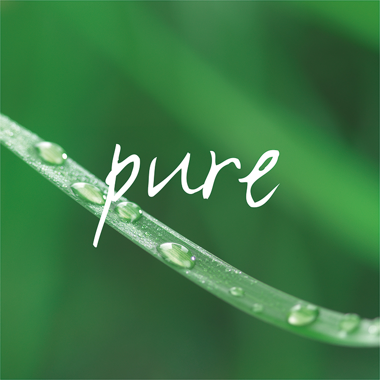 Pure Logo