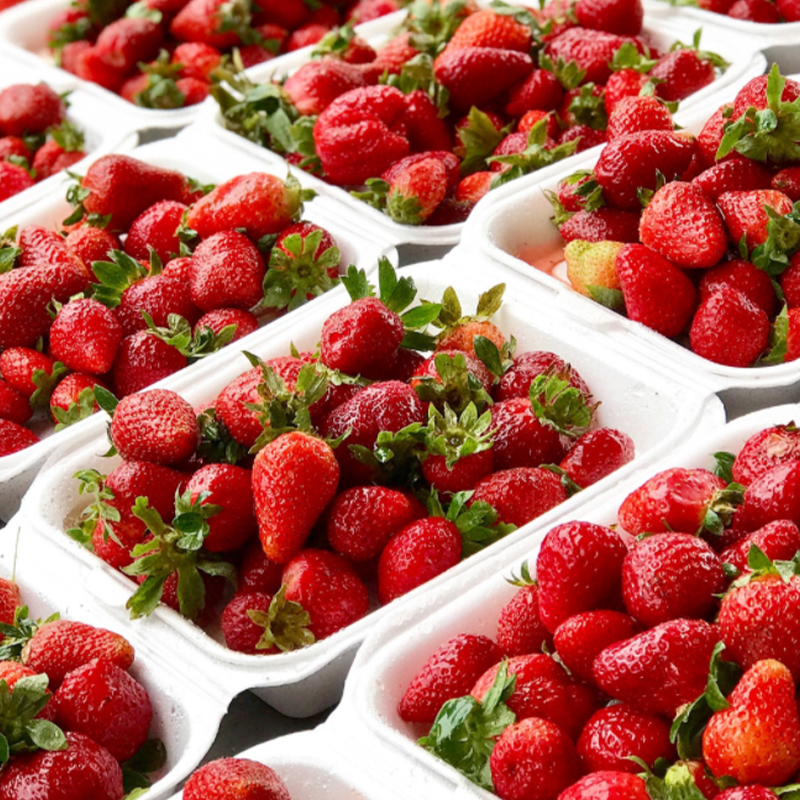aardbeien-bakjes-agf-conpax