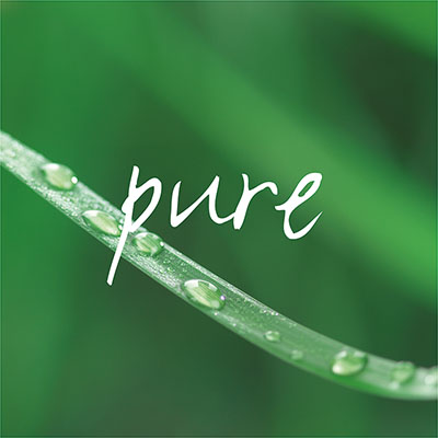 papstar pure x