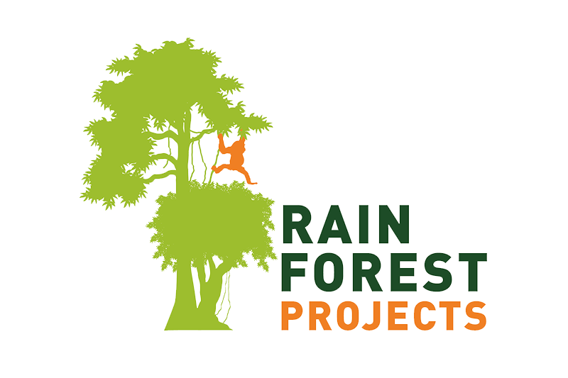 rainforest projects